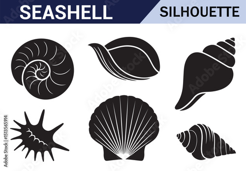 Variety of black and white shell and starfish silhouettes with intricate designs on a white background