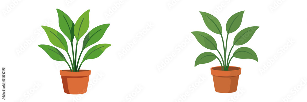 Fototapeta premium Indoor plants in terracotta pots showcasing lush green leaves brighten a cozy living space