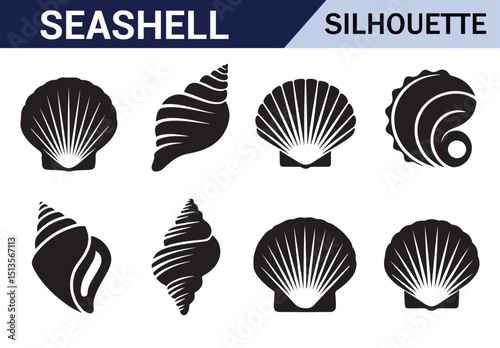 Intricate designs of shells and starfish in black and white, perfect for nature-inspired illustrations.
