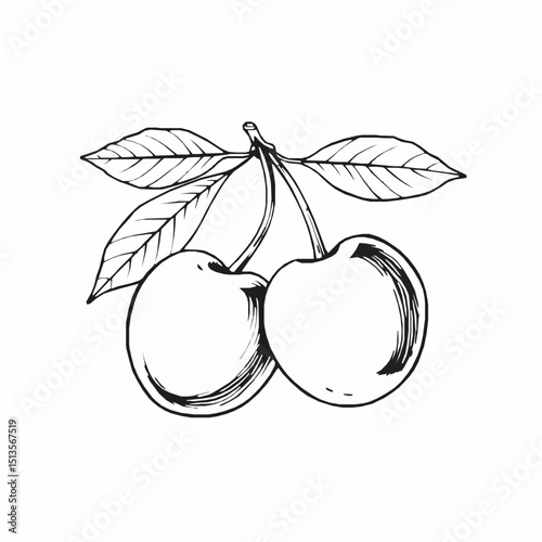 Simple black and white illustration of two ripe cherries attached to a stem with leaves isolated on a white background.