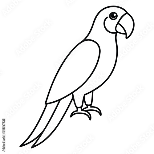 Line art of a macaw.