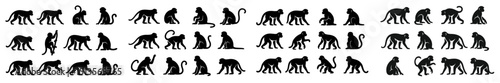 Various silhouettes of monkeys displaying different postures and activities against a plain background