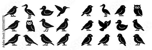 Various bird silhouettes displayed in a creative arrangement showcasing different species and characteristics
