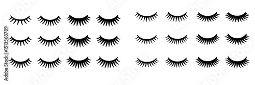 Creative collection of eyelash designs for makeup artistry and beauty applications