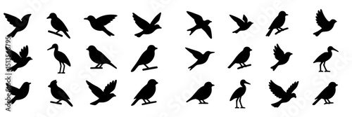 Various bird silhouettes in different poses showcasing diverse species and shapes against a white background