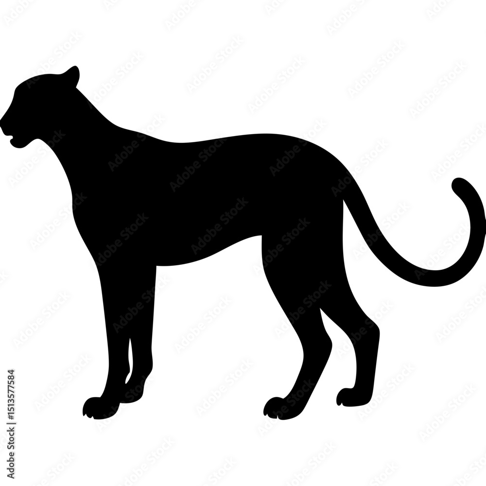 Obraz premium cheetah on white background