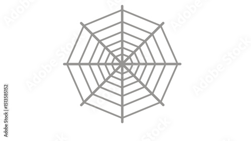 Spider Web Cobweb Object