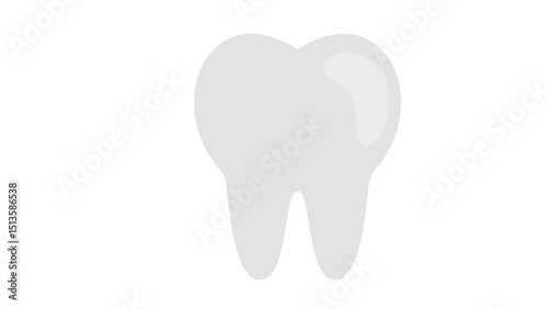 Human Molar Tooth Anatomy Icon