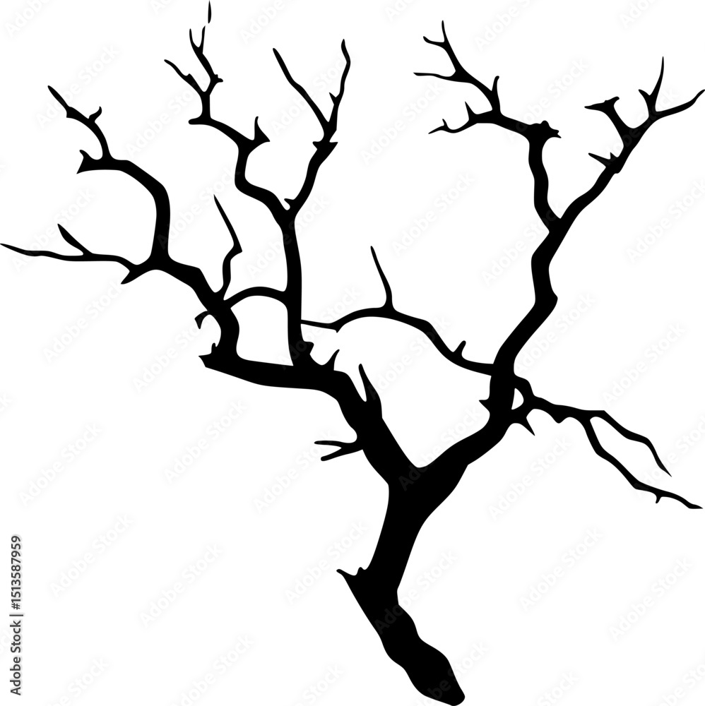 Fototapeta premium Dead Tree Branch Silhouette