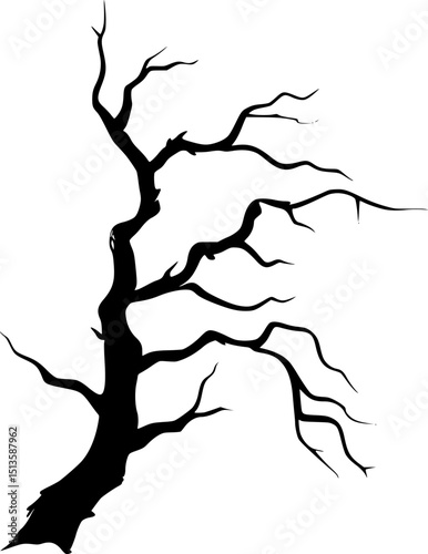 Dead Tree Branch Silhouette