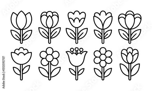 A collection of minimal modern vector-style flower illustrations,  Include a wide variety of stylized flower designs with different petal shapes and arrangements, easily scalable and editable.