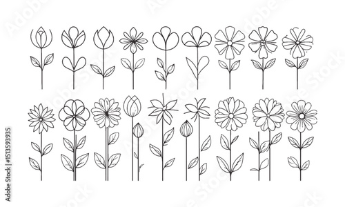 A collection of minimal modern vector-style flower illustrations,  Include a wide variety of stylized flower designs with different petal shapes and arrangements, easily scalable and editable.