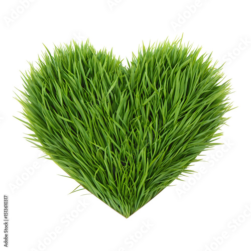 A green grass heart isolated on transparent background
