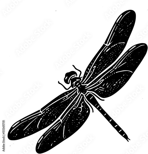 dragonfly vector illustration