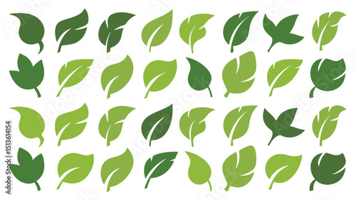 set of leafs green vector