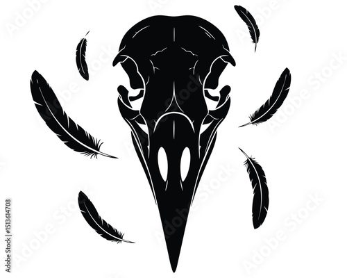 Mysterious Gothic Bird Skull Design Surrounded by Delicate Feathers in Artistic Concept