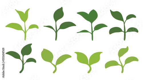 Green Young Plant  Vector Leaf Designs