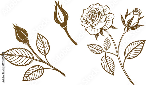 Vector set of art deco drawn leaves and flowers. 