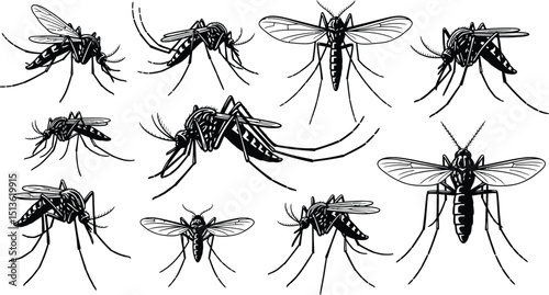 mosquito silhouette set collage on isolated background