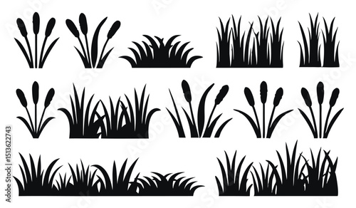 Set of Black Silhouettes of Grass and Cattail Reeds, A Vector Collection of Marsh and Pond Plants On White Background