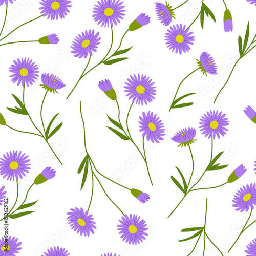 Botanical seamless pattern with aster flower branches and leaves. Vector flat floral background