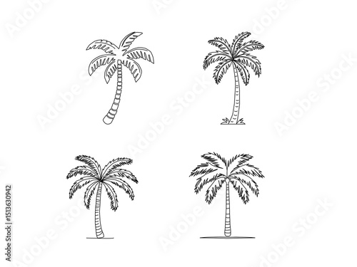 vector illustration of a palm tree. Palm tree vector. Palm tree silhoutte. Tropical palm tree.Vector set of hand-drawn palm trees in black and white outline.Minimal tropical design perfect for summer.