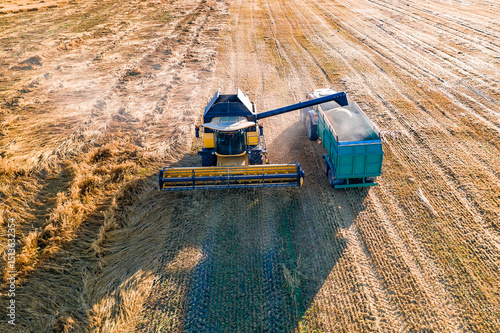 Yellow harvester and tractor collect grain. Evening shooting in summer