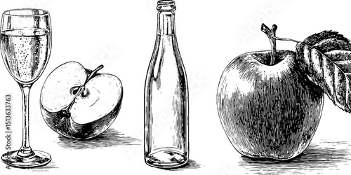 Vintage engraved illustration set of cider bottles and apples for design projects