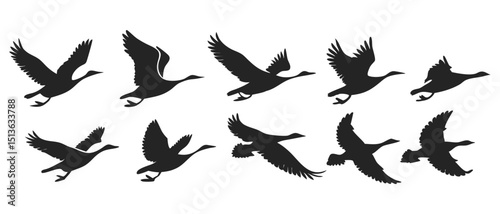 Isolated Goose or Duck Silhouette, Monochrome Farm Bird Graphic, On White Background
