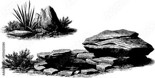 Engraved desert waterhole scene with rocky landscape and foliage elements for nature design