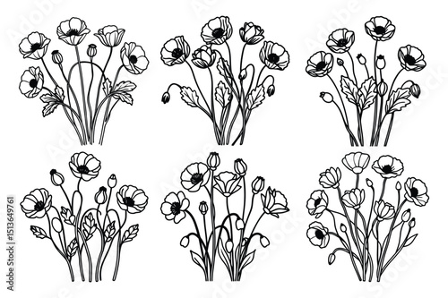 Set of poppy flowers bunch bud stems line art vector illustration on white background.