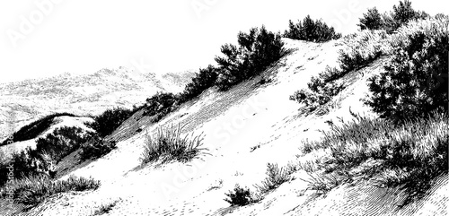 Engraved illustration set featuring sand dunes and sagebrush landscape for design