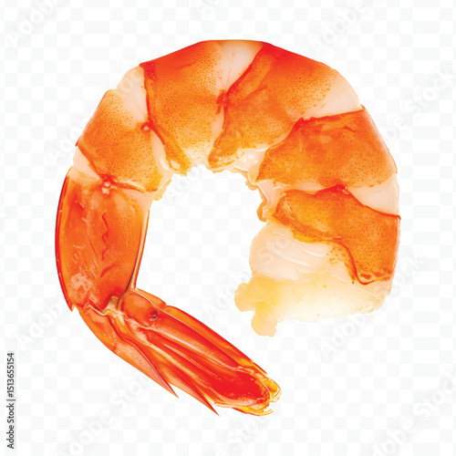 crab on white background