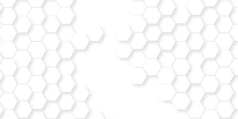 Abstract minimal Background with white lines Hexagonal structure futuristic white background and Embossed Hexagon , honeycomb white mosaic cell web ,light and shadow texture design.