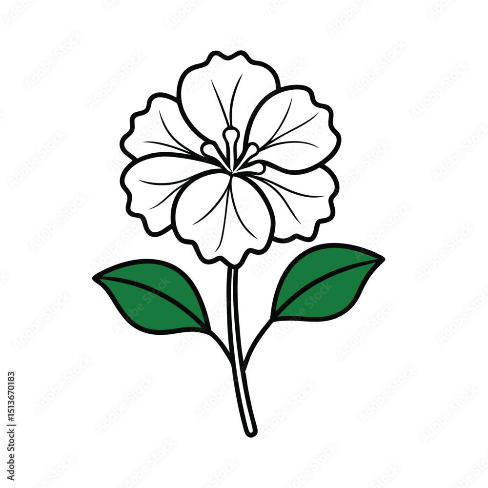 Obraz premium vector illustration of a flower