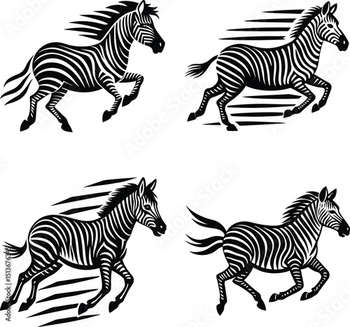 Running zebra illustration in black and white isolated on white background