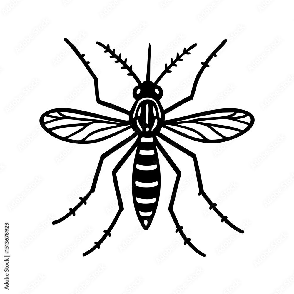 Obraz premium Aedes Mosquito Doodle - Order Diptera