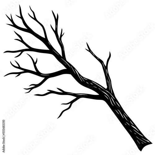 Realistic dry branches isolated dead tree branch