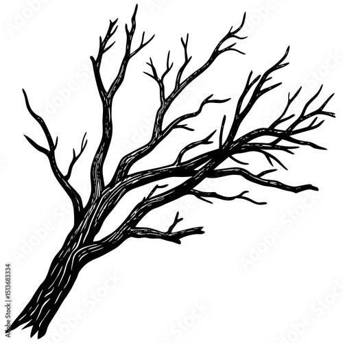 Realistic dry branches isolated dead tree branch
