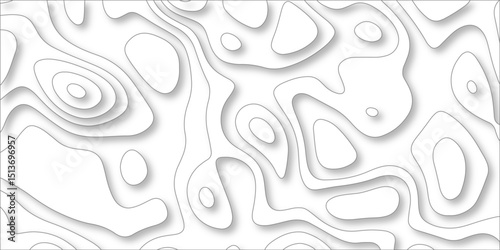 paper cut 3d render topography abstract, beautiful white Background. geometric map relief texture with curved layers and shadow. Realistic papercut decoration textured with wavy vector design.