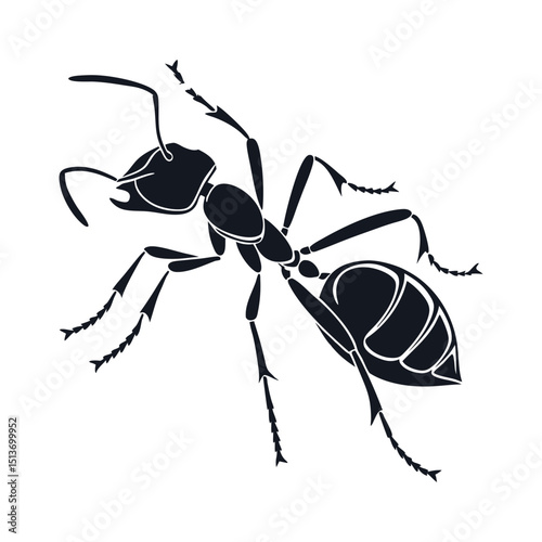 Ant silhouette vector art illustrations