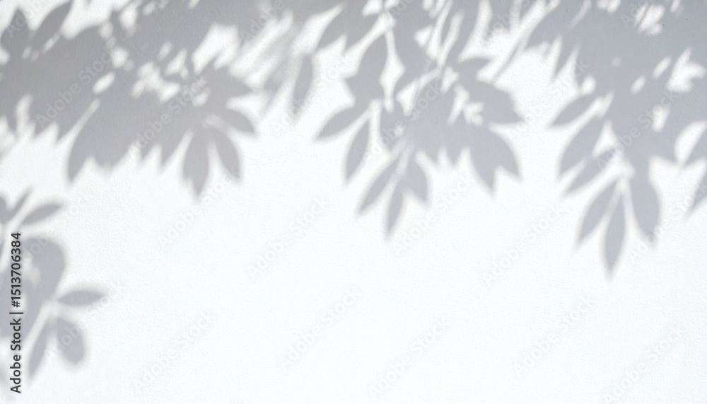 Obraz premium White cement wall with soft leaf shadows creating a natural, minimalist and elegant background texture for modern design visuals