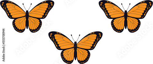 Metamorphosis butterfly mid-flight, radiant wings, transparent background.