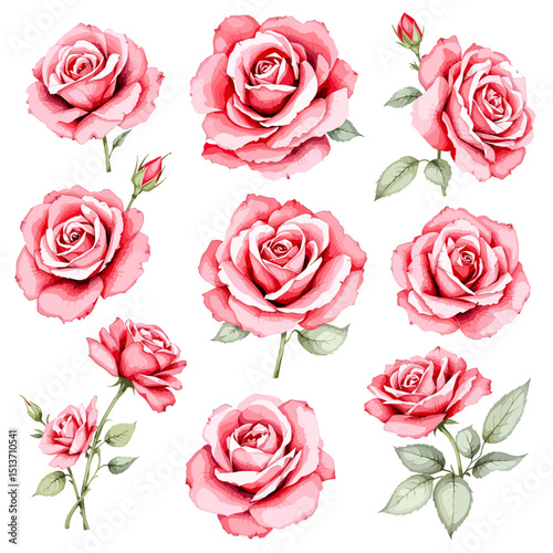 Verspielter rosa Rosenstrauss voller Liebe und Natur