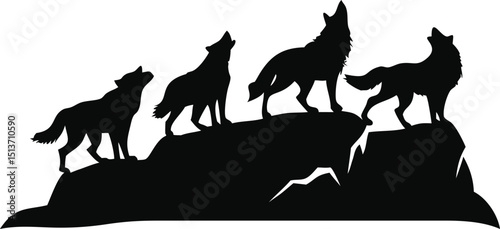 Silhouette of wolves howling on a rock isolated on white background
