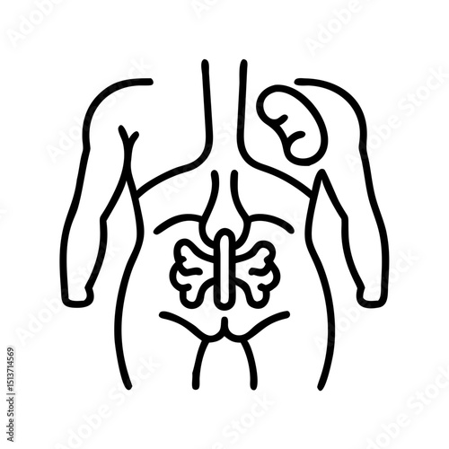 Human organs line icon of heart, lungs, liver, stomach, intestine, kidney, bladder, anatomy, Brain, Spinal Cord, Lungs, Stomach, Gallbladder, testes  illustration.