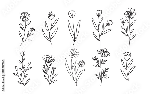 Set of Floral and Wild Flowers. Hand drawn botanical elements. Vector illustration 