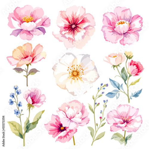 Watercolor floral illustration set with delicate flowers and leaves, isolated on white background