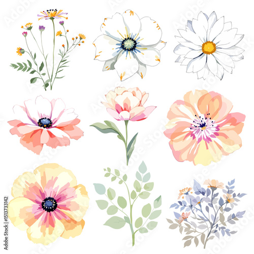 Watercolor floral illustration set with delicate flowers and leaves, isolated on white background