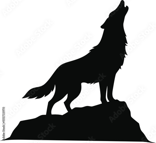 Wolf howling on a rock isolated on white background